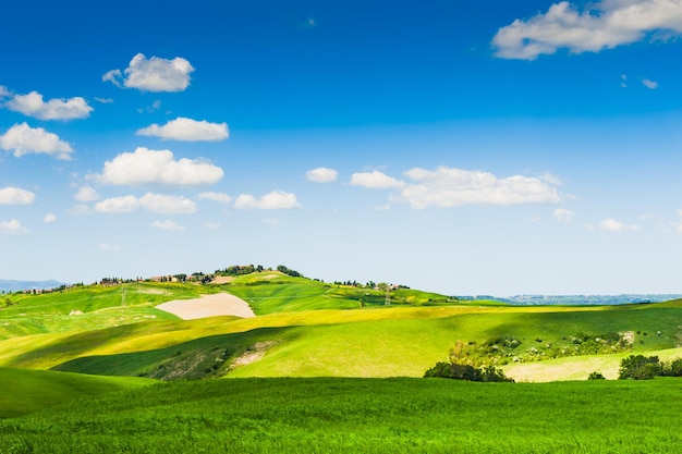 Campos verdes y cielo azul. Hermoso paisaje de Toscana, Italia