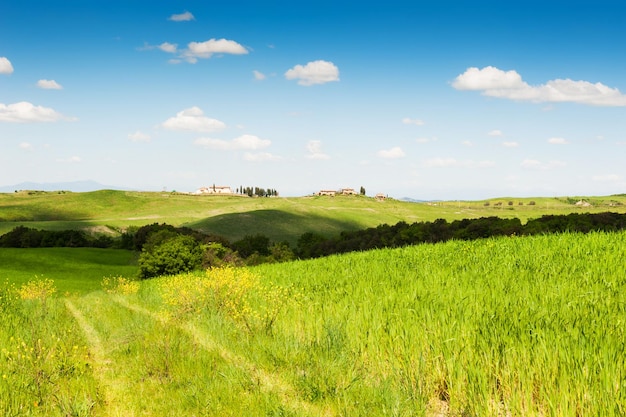 Campos verdes e céu azul. Bela paisagem da Toscana, província de Certaldo, Itália