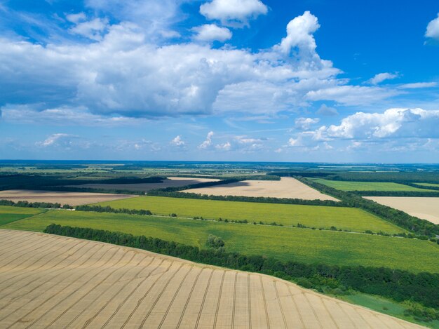 Campos verdes e céu azul