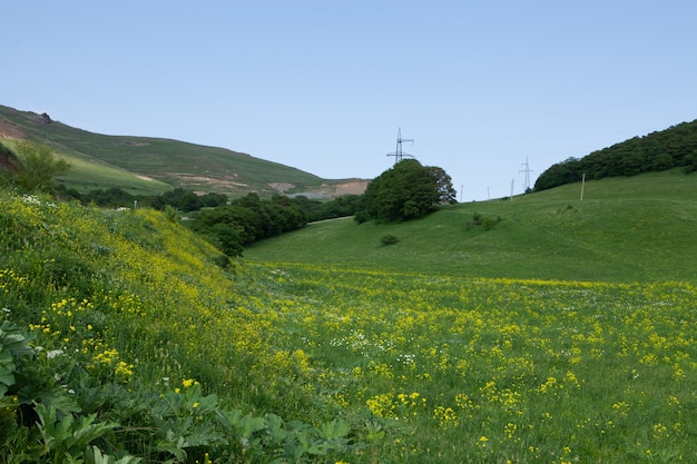 Campos verdes e colinas na primavera