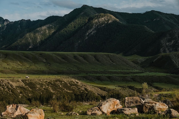 Campos verdes e encostas das montanhas de Altai