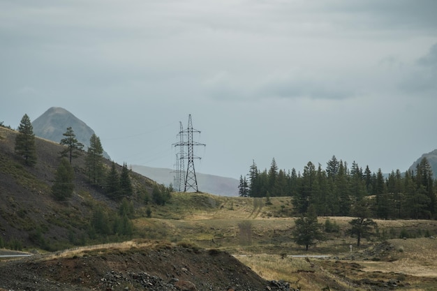 Campos verdes e encostas das montanhas de altai