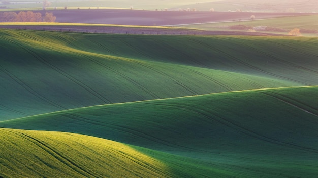 Campos verdes por la noche en Moravia del Sur, República Checa. Olas colinas con pasto verde, campos ondulados. Hermoso paisaje primaveral al atardecer. Agricultura. Fondo de naturaleza colorida. Concepto