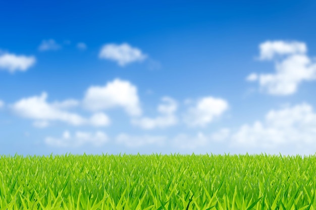 Campos verdes con nubes y fondo de cielo azul