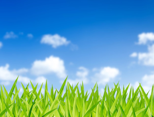 Campos verdes con nubes y fondo de cielo azul