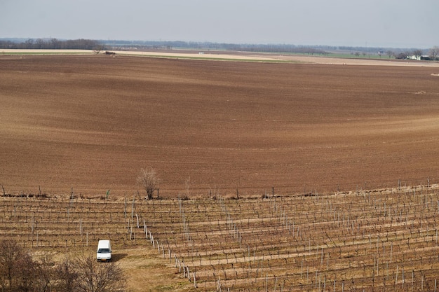 Campos con viñedos a principios de la primavera en el sur de Moravia República Checa