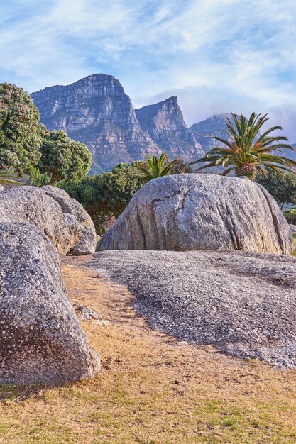 Camps Bay Table Mountain National Park Cidade do Cabo África do Sul durante sebo em um dia de verão Rochas e pedregulhos contra um majestoso fundo de montanha com palmeiras verdes exuberantes e um céu azul claro