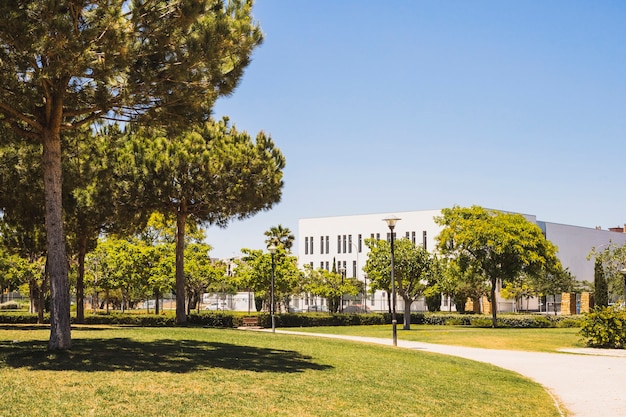 Campusrasen am sonnigen Tag