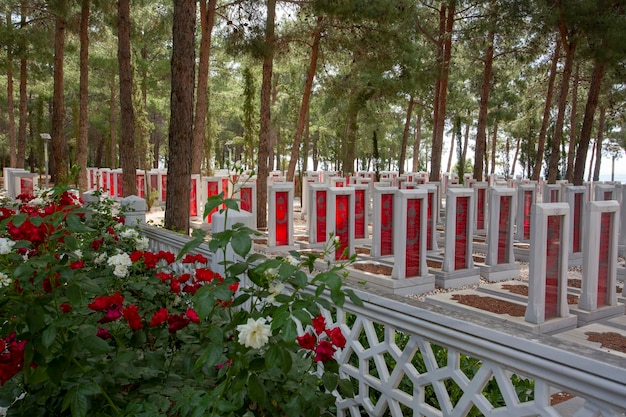 Canakkale, Türkei - 26. Mai 2019: Der Militärfriedhof Canakkale Martyrs Memorial ist ein Kriegerdenkmal, das an den Dienst von etwa türkischen Soldaten erinnert, die an der Schlacht von Gallipoli teilgenommen haben.