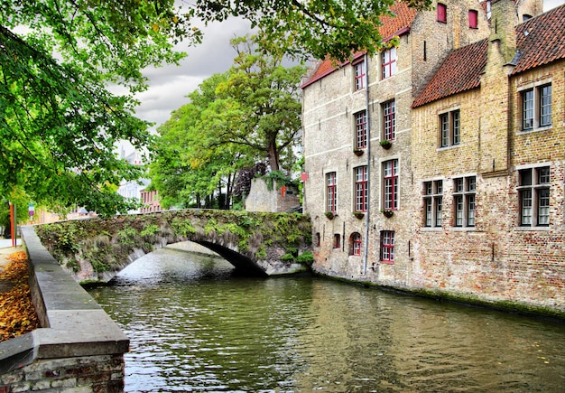 Canal en Brujas