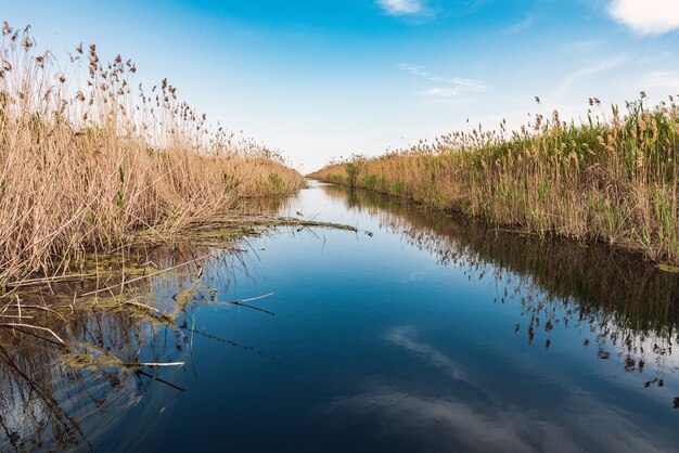 Canal de água na reserva natural