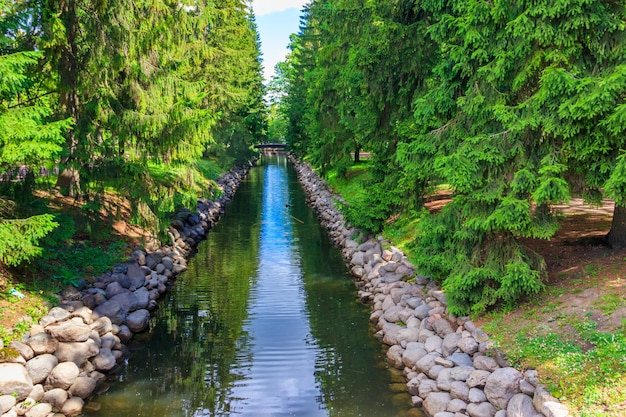 Canal de peixes no Parque Catherine em Tsarskoye Selo Pushkin Rússia