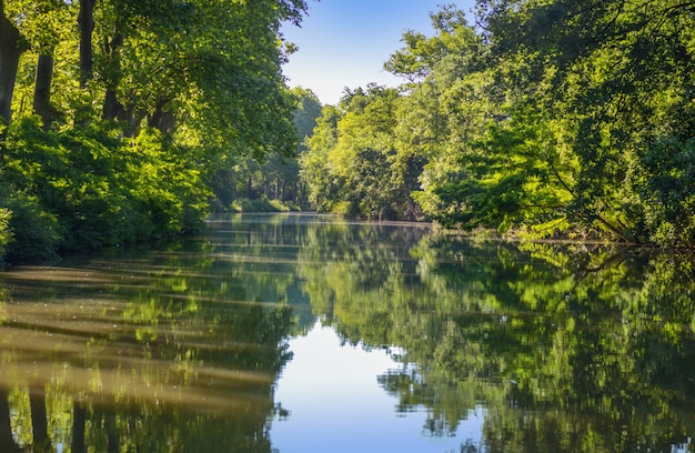 Canal du Midi, sicómoro reflejo en el agua, sur de Francia