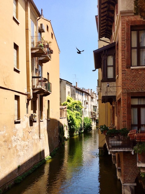Foto canal entre edificios en la ciudad de mantua