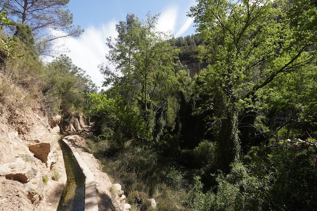 Un canal estrecho en el bosque con árboles y un cielo azul