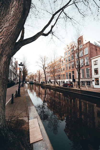 Canal holandés en Amsterdam