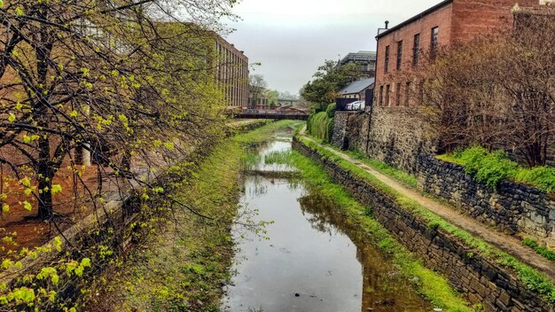 Canal en medio de árboles y edificios contra el cielo