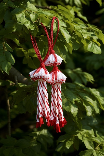 Foto cañas de caramelo en un árbol en el bosque decoración navideña