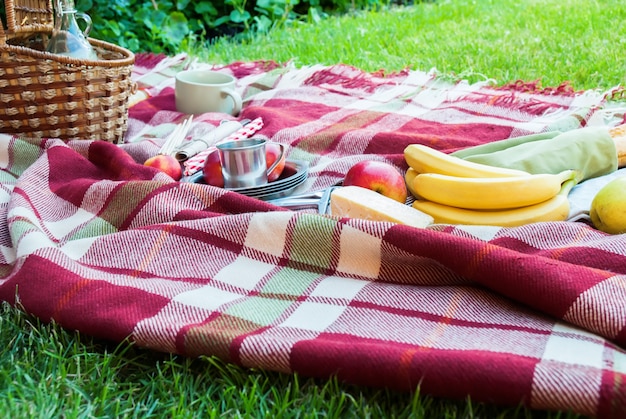 Canasta de ajuste de alimentos de frutas a cuadros Plaid Picnic Hierba