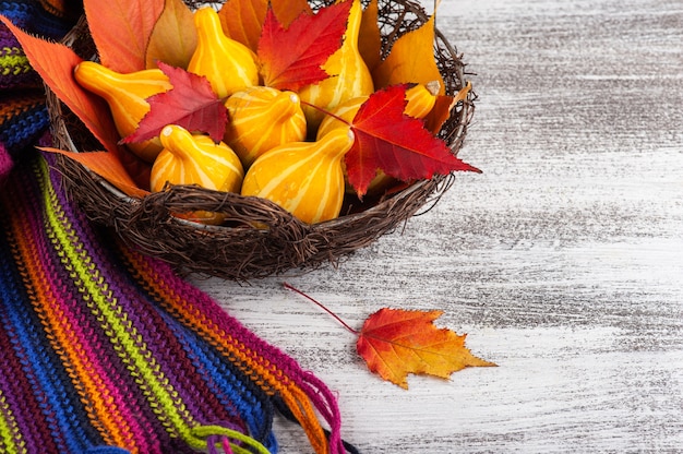 Foto canasta con calabazas y hojas