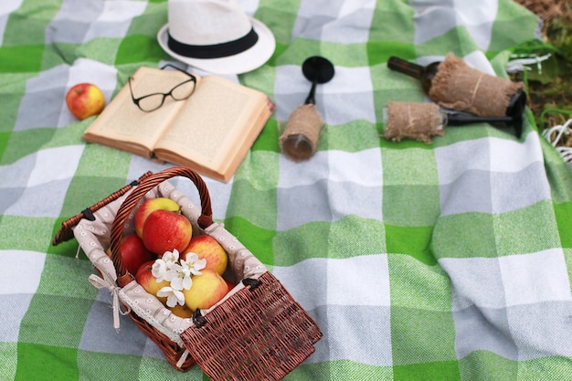 Una canasta con comida de picnic a cuadros en spring park