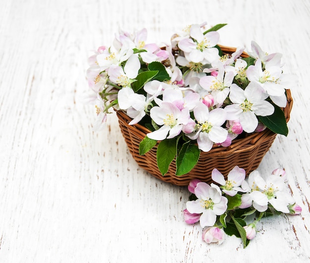 Canasta con flores de manzana.