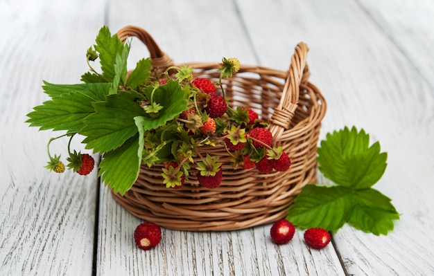 Canasta con fresas silvestres.