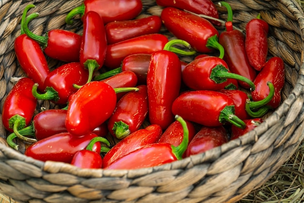 Una canasta con frijoles de pimiento rojo