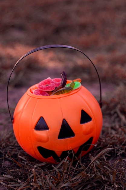 Canasta de halloween en el parque con dulces y gomitas fotografía vertical.