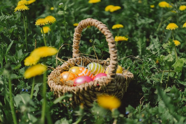 Una canasta de huevos de Pascua coloridos en busca de huevos.