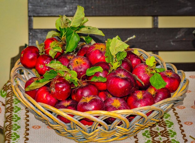 Foto una canasta con manzanas.