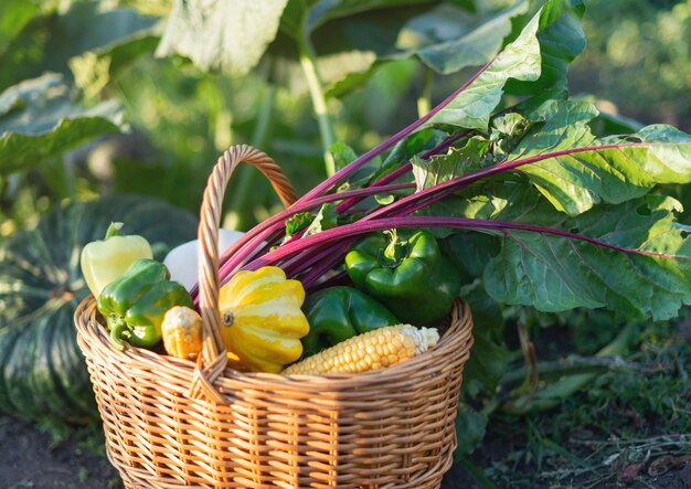 Una canasta de mimbre llena de verduras del jardín.