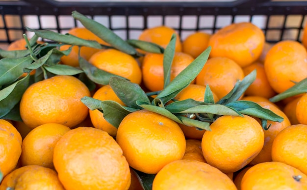 Una canasta de naranjas con hojas en la parte superior.