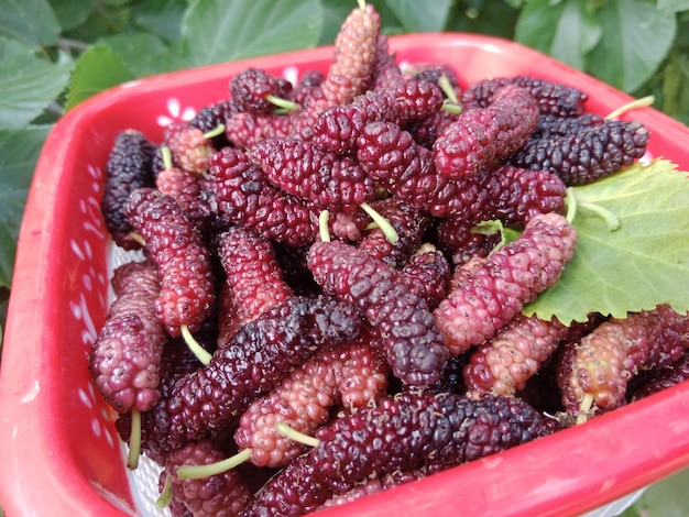 Foto una canasta roja llena de frambuesas maduras con la palabra 