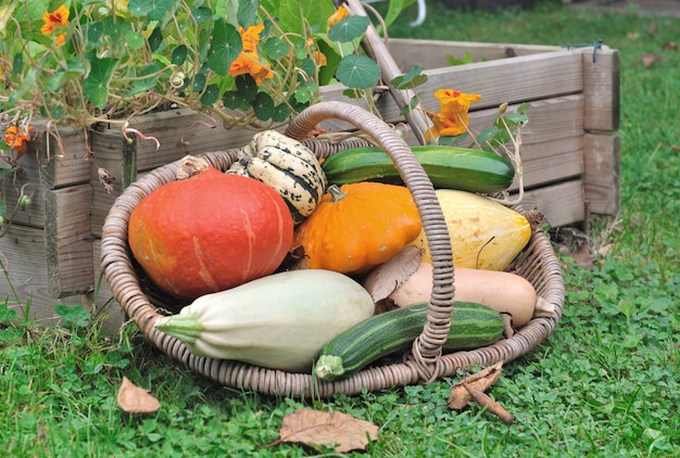 Canasta de varias calabazas