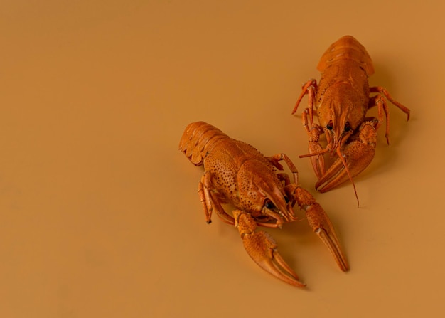 Cáncer rojo hervido sobre un fondo naranja Aperitivo de cerveza Mariscos frescos