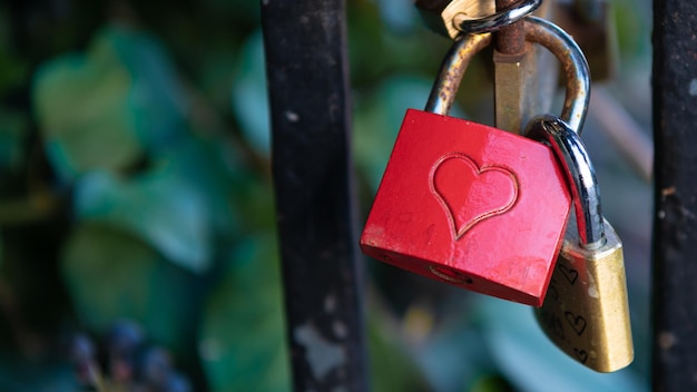 Candado en forma de corazón cerrado en la valla