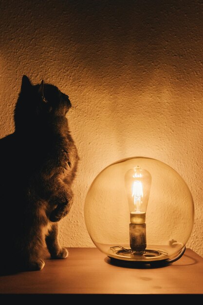 Foto candelas de té encendidas en la mesa contra la pared