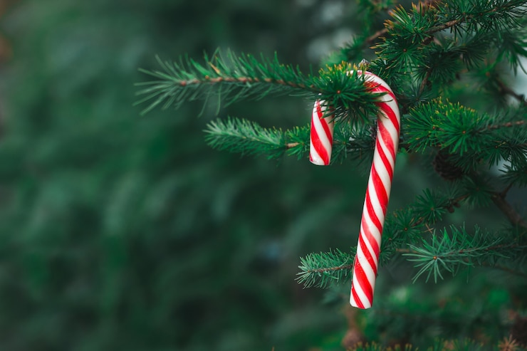 Candy cana um palito de hortelã com listras vermelhas pendurado em uma árvore de Natal do lado de fora