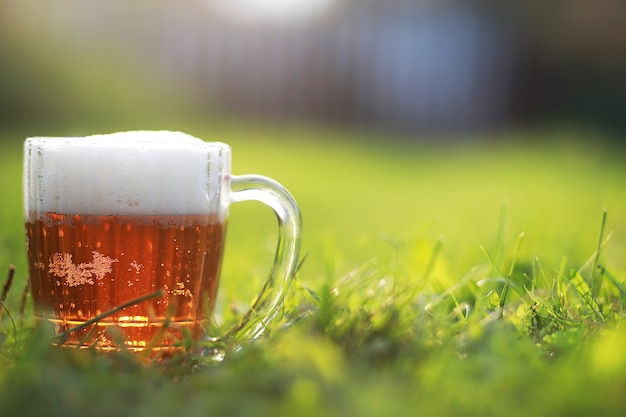 Caneca de cerveja na grama