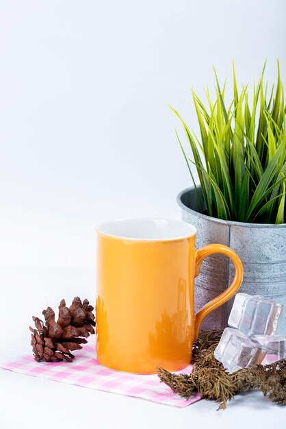 Caneca e pote com planta verde