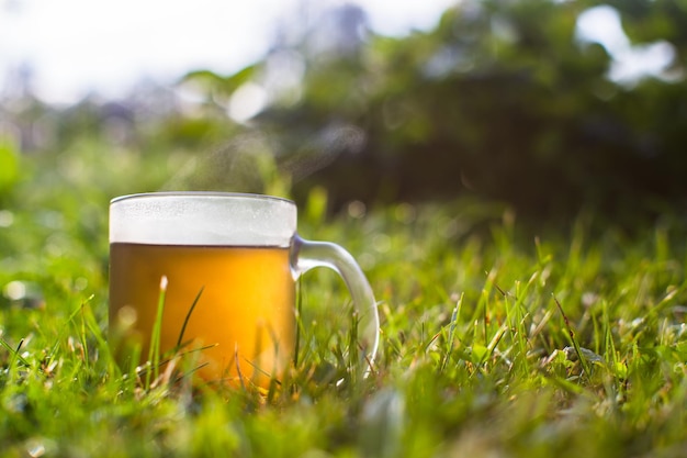 Foto caneca transparente com chá preto quente fresco belo fundo verde da natureza no início da manhã com os raios do sol quente bebida revigorante