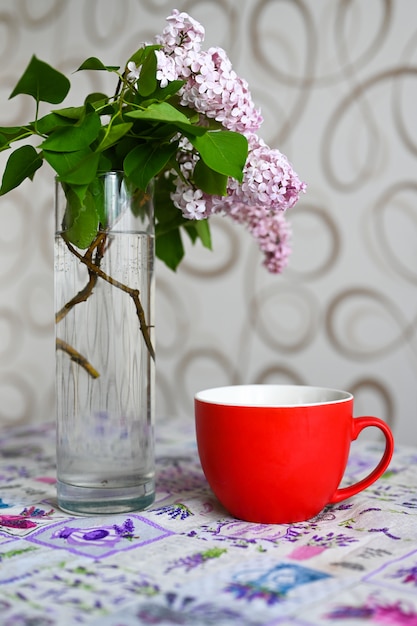Caneca vermelha perto de um vaso com uma planta