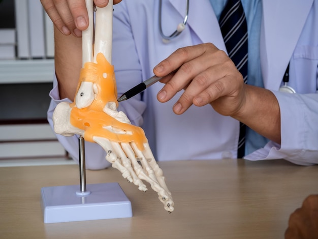 Foto caneta closeup segurando pela mão do médico ortopedista no jaleco branco apontando para o modelo de anatomia da articulação do tornozelo do esqueleto do pé na mesa para explicar para o paciente no consultório médico conceito de tratamento fisio