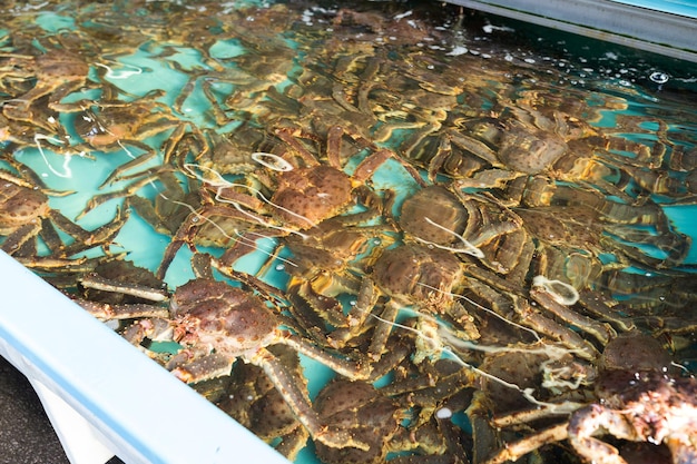 Cangrejo fresco en el mercado de pescado