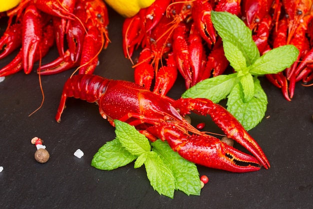 Cangrejo de río hervido rojo sobre pizarra con especias y hojas de menta