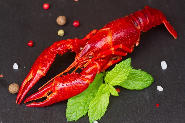 Cangrejo de río rojo con especias en pizarra