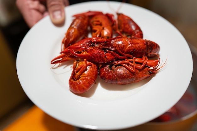 Cangrejos de río apetitosos frescos rojos en un plato blanco Deliciosa comida para cerveza