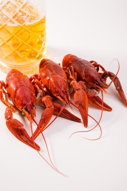 Cangrejos de río hervidos en un plato con especias de eneldo y limón sobre un fondo blanco.