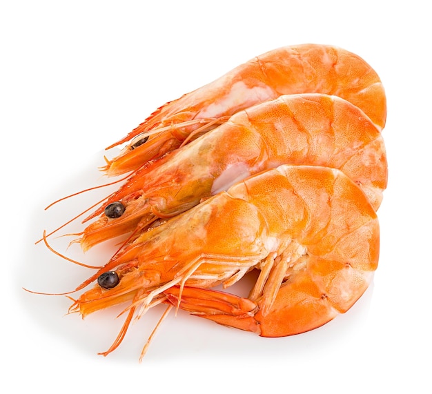 Cangrejos tigre camarones con aislados sobre un fondo blanco mariscos